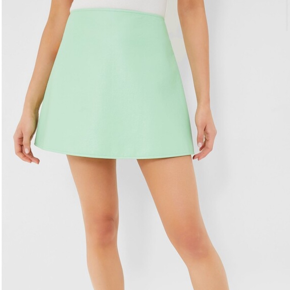 Tuckernuck Mint Chip Leather Mini Skirt